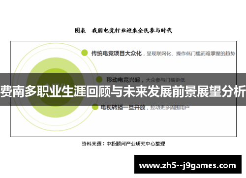 费南多职业生涯回顾与未来发展前景展望分析